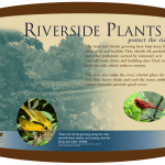 Screen shot 2012-05-22 at 2.11.57 PM